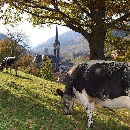 Petit week end dans la vallée Breitenbach-Haut-Rhin Esterno foto