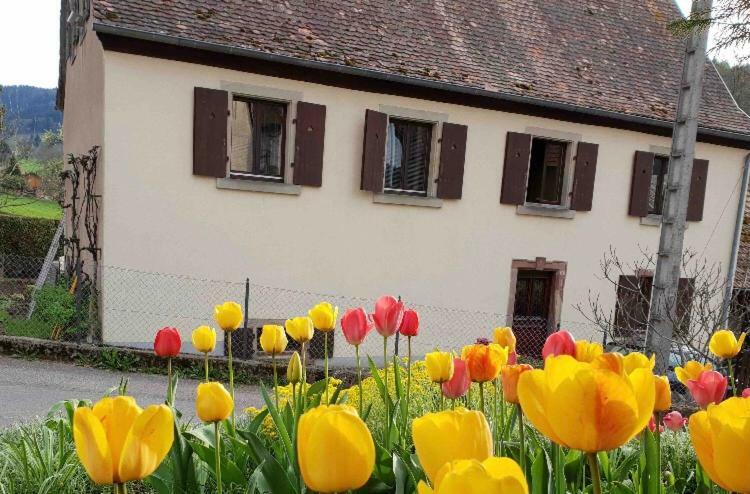 Petit week end dans la vallée Breitenbach-Haut-Rhin Esterno foto