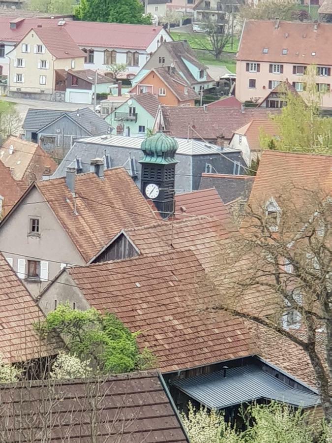 Petit week end dans la vallée Breitenbach-Haut-Rhin Esterno foto