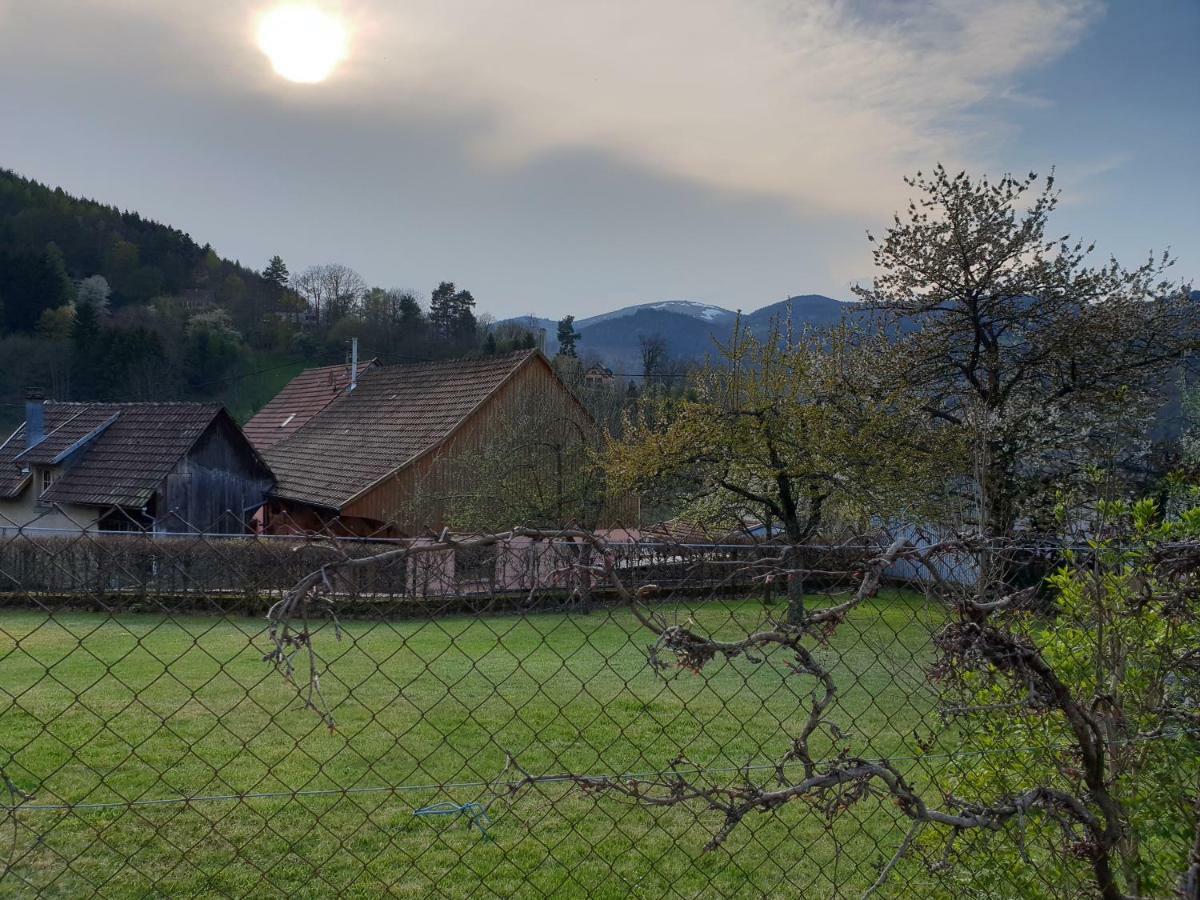Petit week end dans la vallée Breitenbach-Haut-Rhin Esterno foto