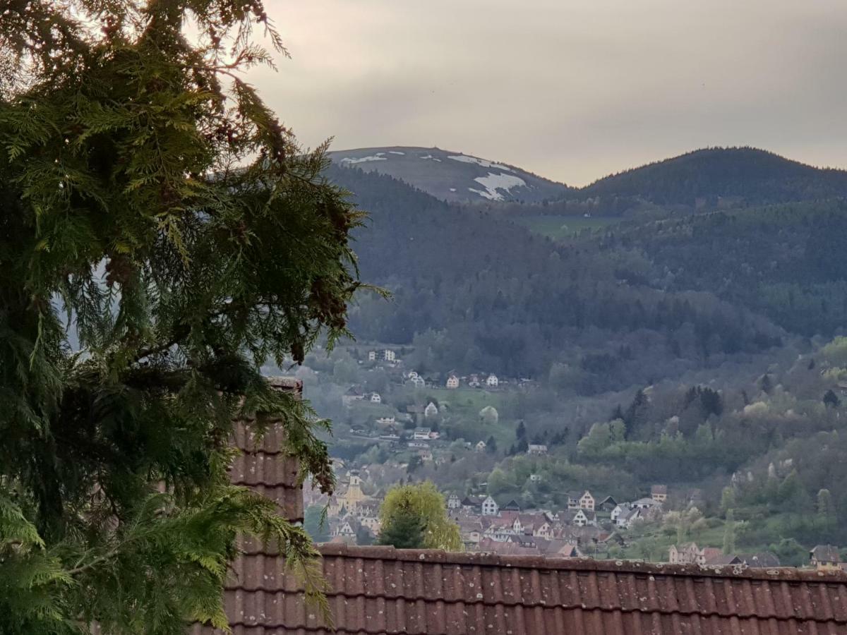 Petit week end dans la vallée Breitenbach-Haut-Rhin Esterno foto