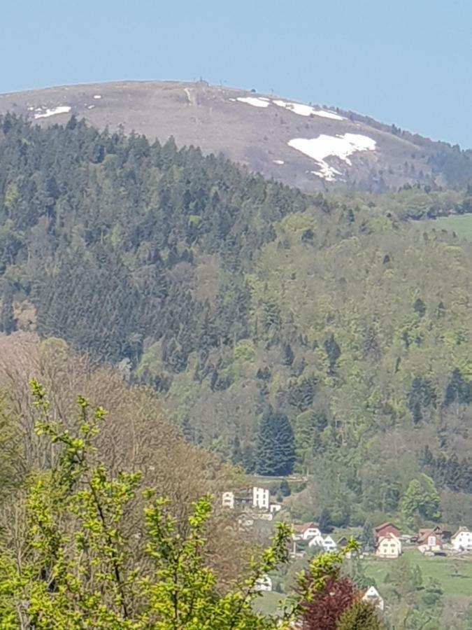 Petit week end dans la vallée Breitenbach-Haut-Rhin Esterno foto