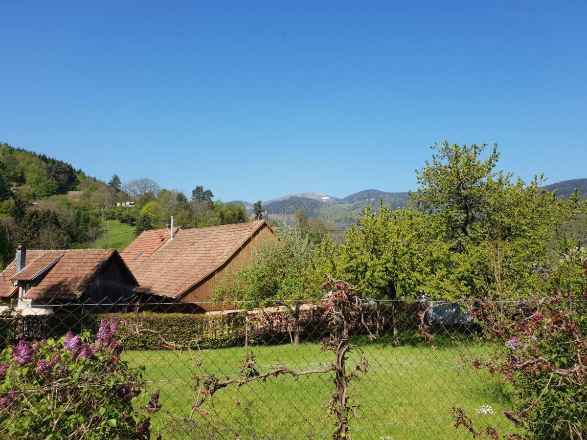 Petit week end dans la vallée Breitenbach-Haut-Rhin Esterno foto