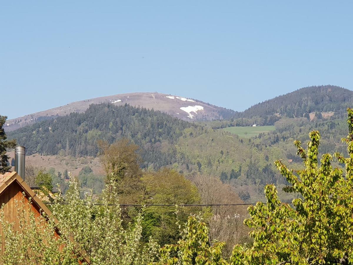 Petit week end dans la vallée Breitenbach-Haut-Rhin Esterno foto
