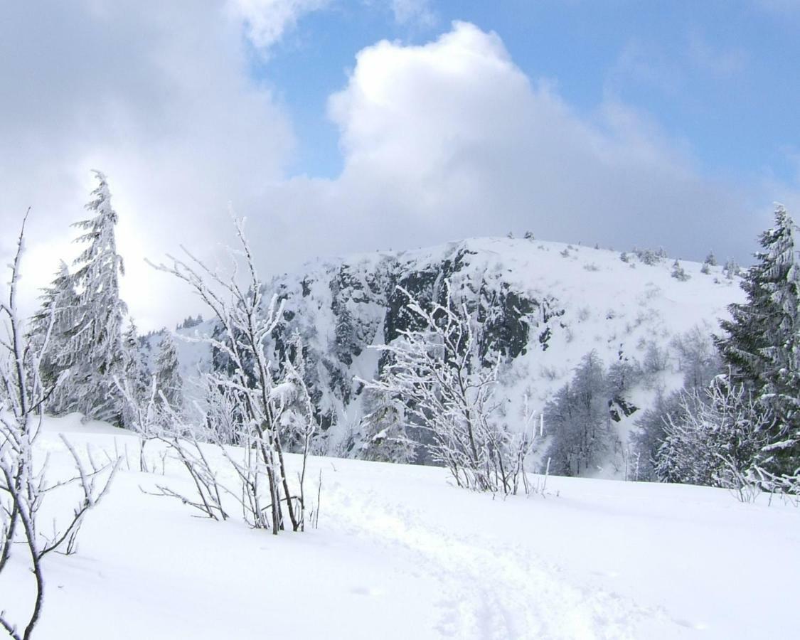 Petit week end dans la vallée Breitenbach-Haut-Rhin Esterno foto