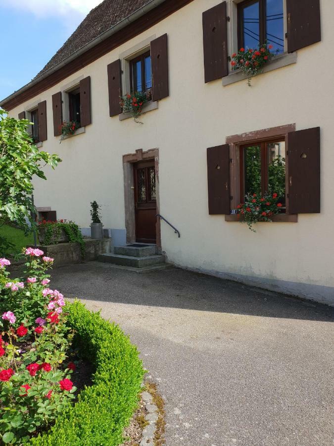 Petit week end dans la vallée Breitenbach-Haut-Rhin Esterno foto