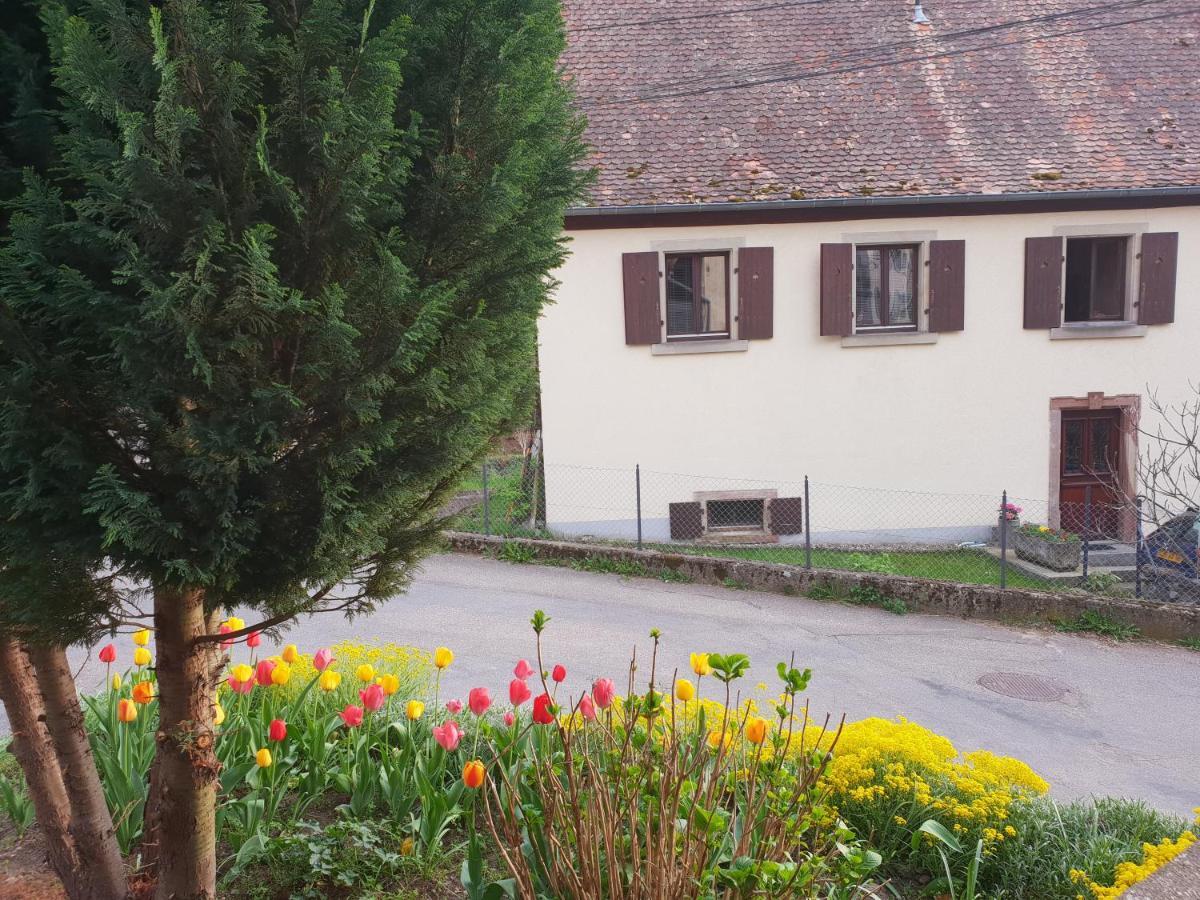 Petit week end dans la vallée Breitenbach-Haut-Rhin Esterno foto